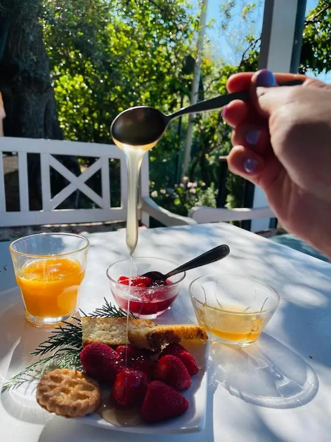 Hotel Imperial Dhermi Albania